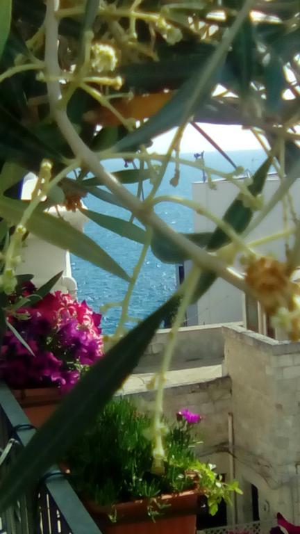 Tra Le Mura Polignano a Mare Eksteriør billede