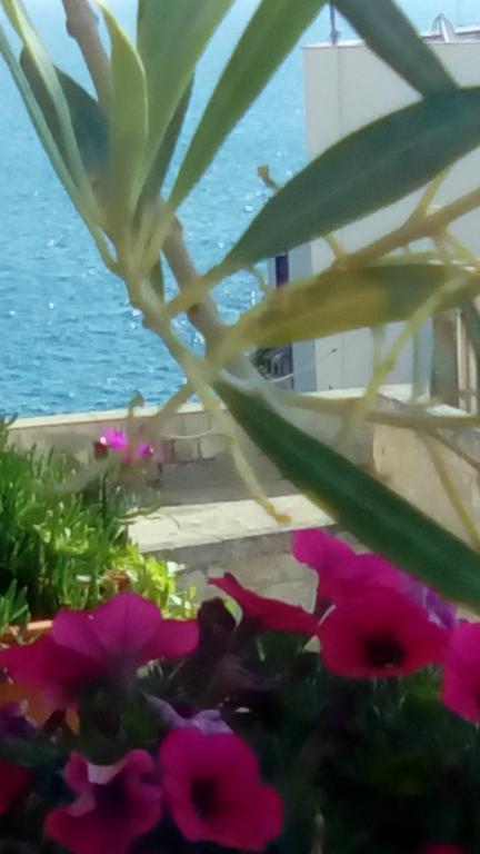 Tra Le Mura Polignano a Mare Eksteriør billede