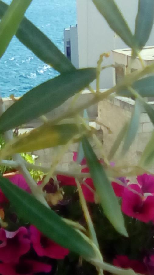 Tra Le Mura Polignano a Mare Eksteriør billede
