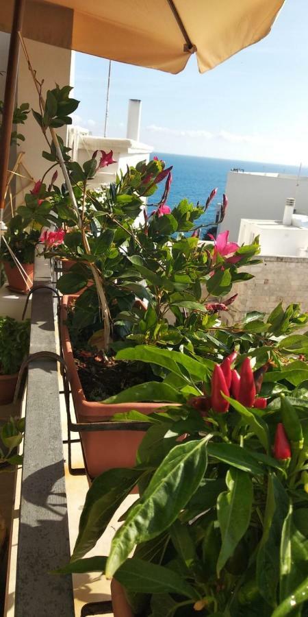 Tra Le Mura Polignano a Mare Eksteriør billede